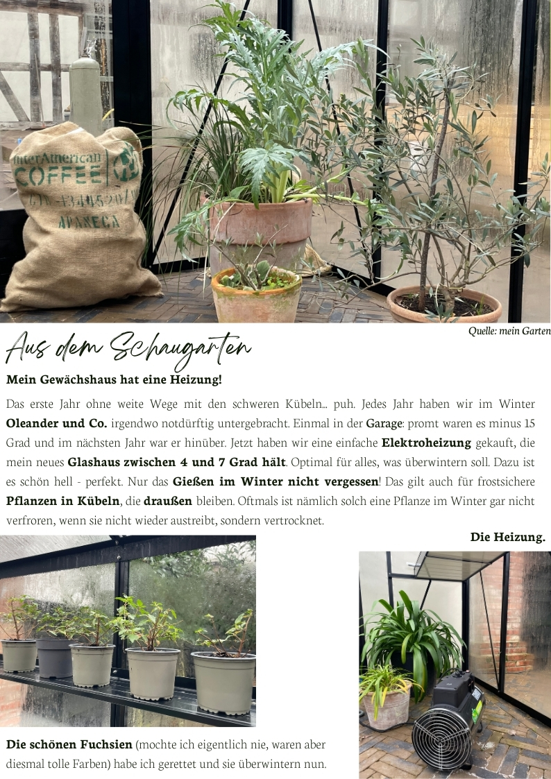 Gewächshaus mit Elektroheizung für Oleander und Fuchsien, ideale Überwinterung bei 4–7 Grad, Tipps zum Gießen im Winter.