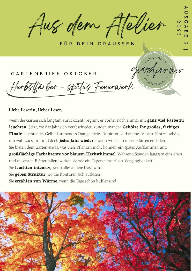 Leuchtend rot und orange gefärbte Ahornbäume vor strahlend blauem Himmel – Herbstlaub in voller Intensität.