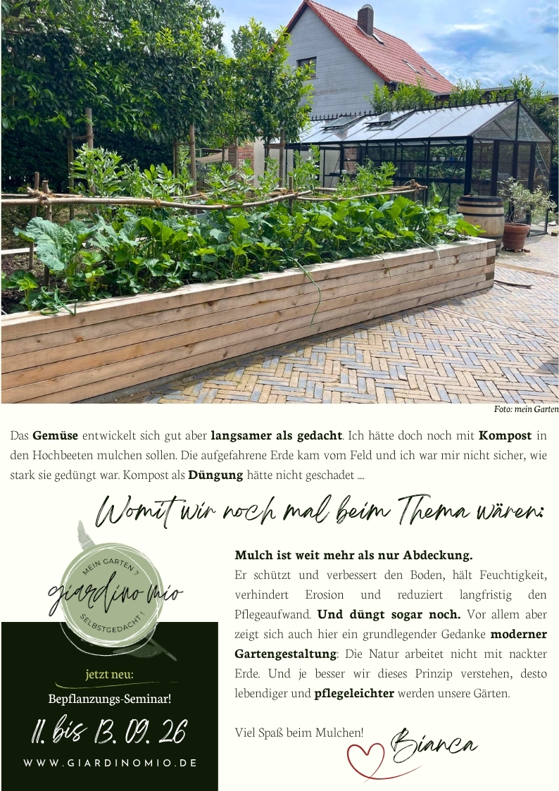 Moderner Küchengarten mit Hochbeeten, Gewächshaus und Gemüsepflanzen – Mulchen mit Kompost zur Bodenverbesserung und nachhaltigen Gartengestaltung im Schaugarten Giardino Mio