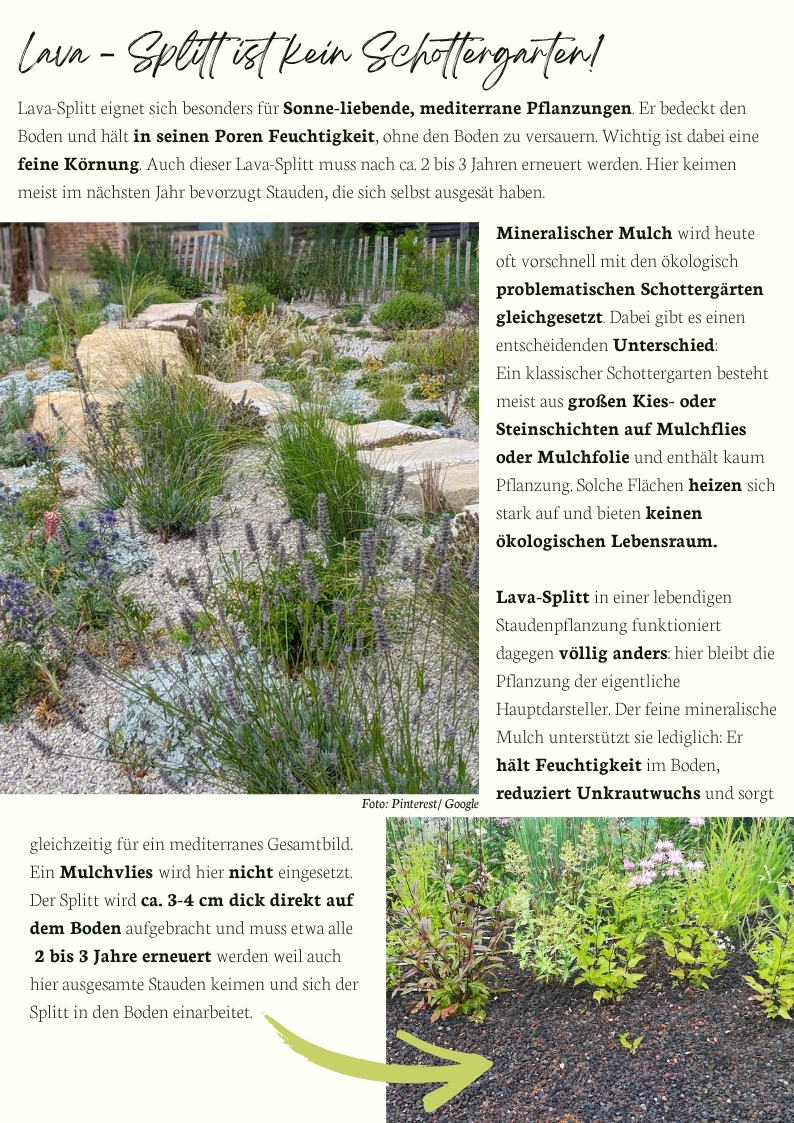 Lava-Splitt als mineralischer Mulch in mediterraner Staudenpflanzung – ökologischer Unterschied zwischen lebendigem Staudenbeet und klassischem Schottergarten mit Mulchvlies