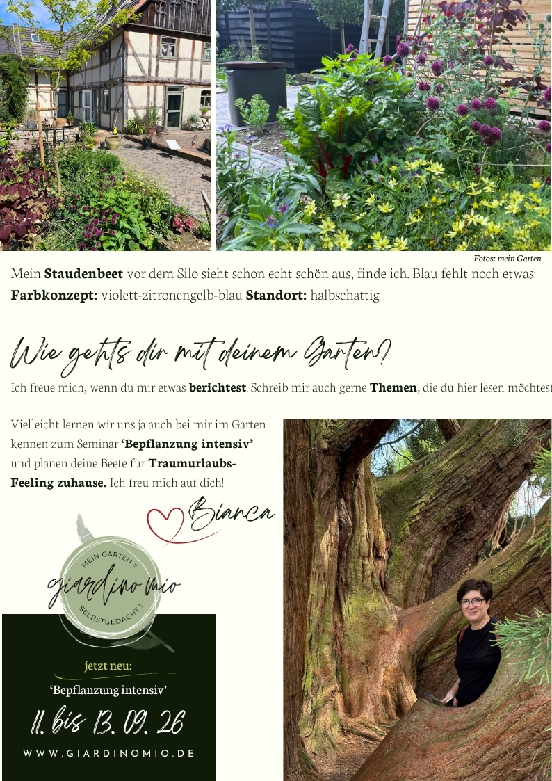 Schaugarten mit Staudenbeet, Fachwerkhaus und farblich abgestimmter Bepflanzung – halbschattige Staudenkombination für dauerhaft attraktive Gartengestaltung und Seminar zur Pflanzplanung.