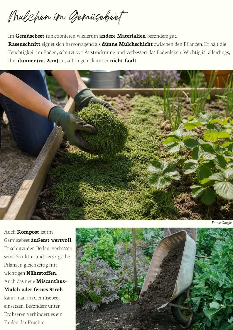 Gemüsebeet mit Rasenschnitt, Kompost und organischem Mulch – nachhaltiges Mulchen im Nutzgarten zur Bodenverbesserung und Feuchtigkeitsspeicherung