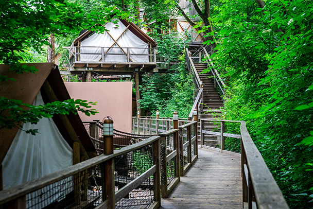 Glamping Baumhäuser im Wald 2026