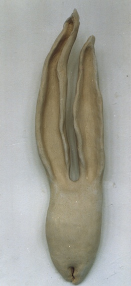 Naturstudie, Keramik, unglasiert, 1997 (48 x 21,5 x 16,8 cm)