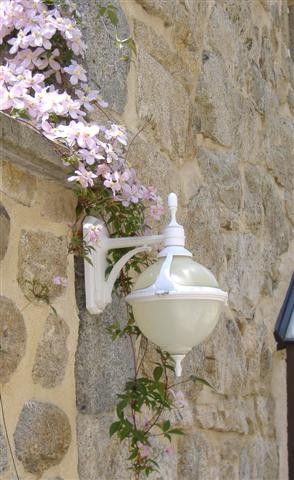 Lampe et clématites