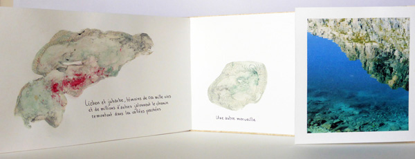 Les Merveilles - livre d'artiste - photographie et monotype d'argile