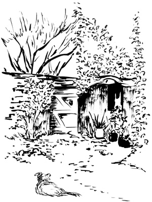 La maison des blés - jardin - dessin à l'encre de chine