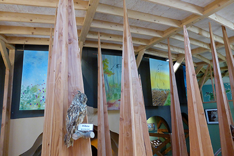 1-œuvres acquises par l'éco-musée de la Pyramide du loup