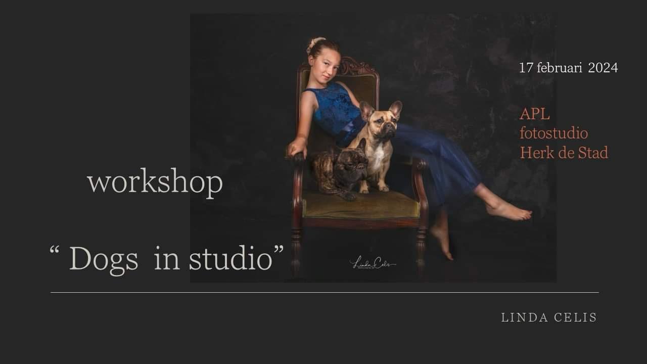 Workshop "Dogs in studio"