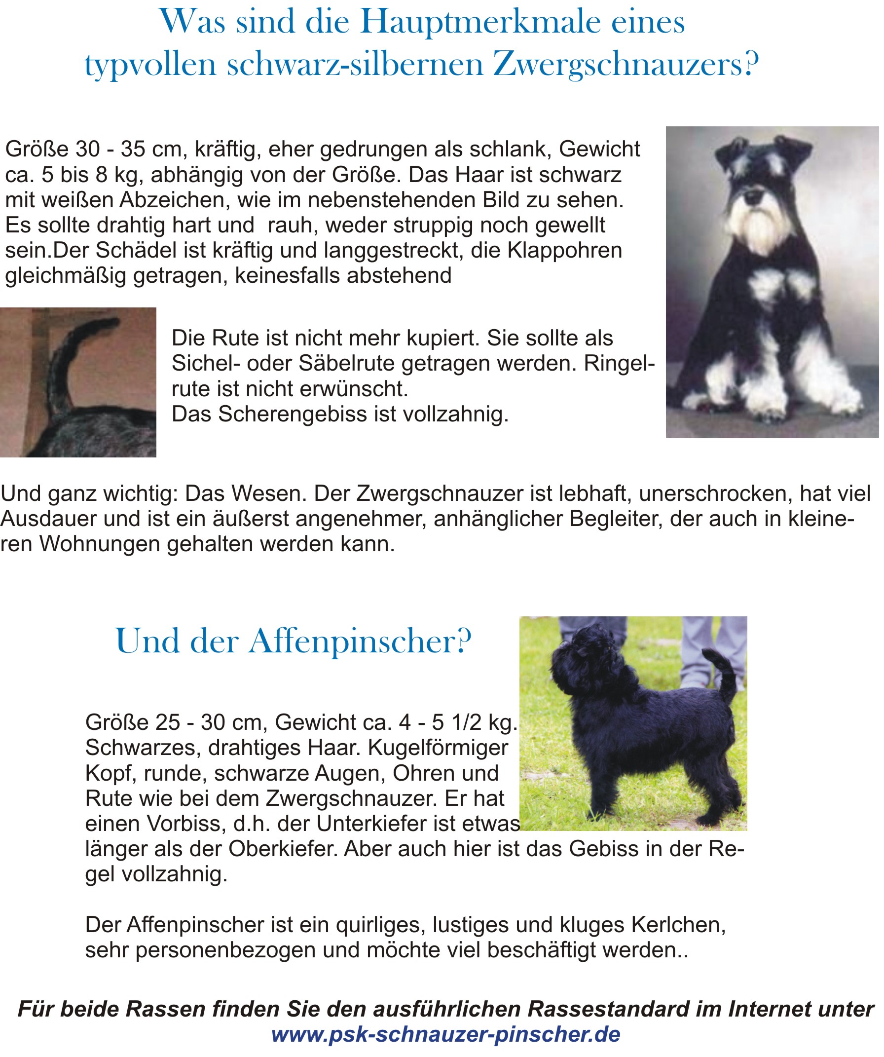 Hundepullover Winter FUAMEY Hundepullover Pullover, Hunde-Wintermantel,  Kaltes Wetter Hundepulli Für Mittlere Hunde, image size:1792x2142