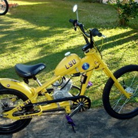 Best engine for schwinn stingray hotsell
