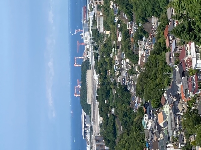 頂上から東京湾を臨む