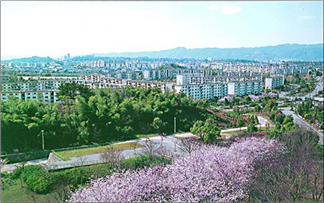 千里中央公園 東町探訪 千里中央公園 東町探訪