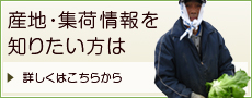 岩井中央青果の産地・集荷情報,茨城県,青果市場