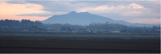 筑波山,岩井中央青果,茨城県,青果市場