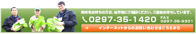 岩井中央青果のお問い合わせ,岩井中央青果,茨城県,青果市場,卸売市場,白菜