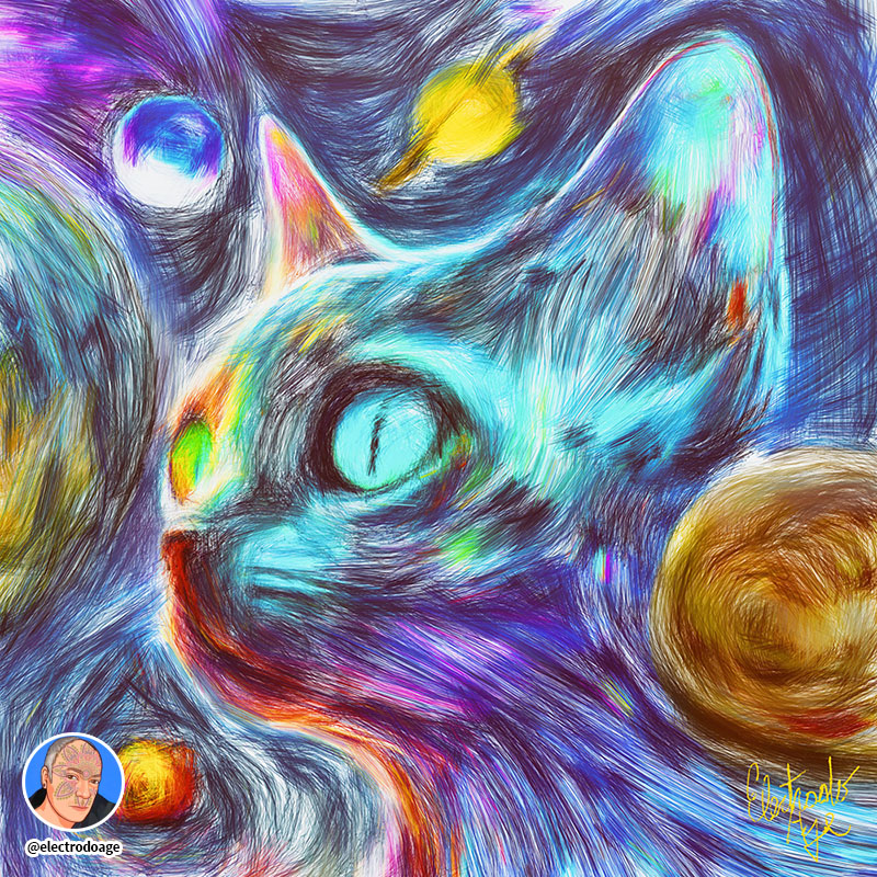Cat's Space @electrodoage
