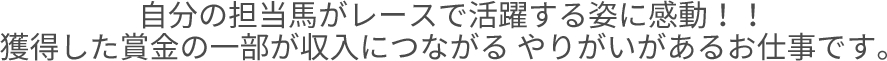 自分の担当の馬がレースで活躍する姿は感動しますし、 獲得した賞金の一部が収入につながる やりがいがあるお仕事です。