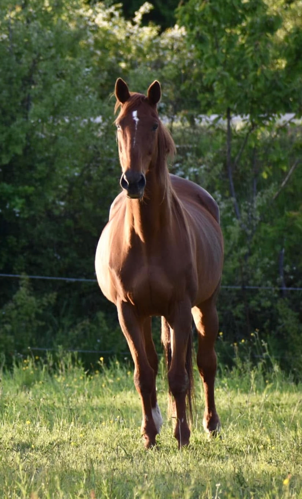 Sa mère, Lunica des Mulottes