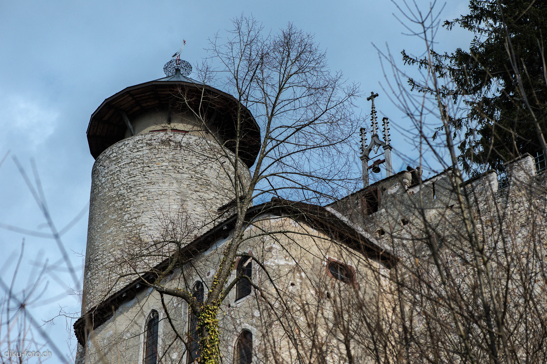 Schloss Birseck