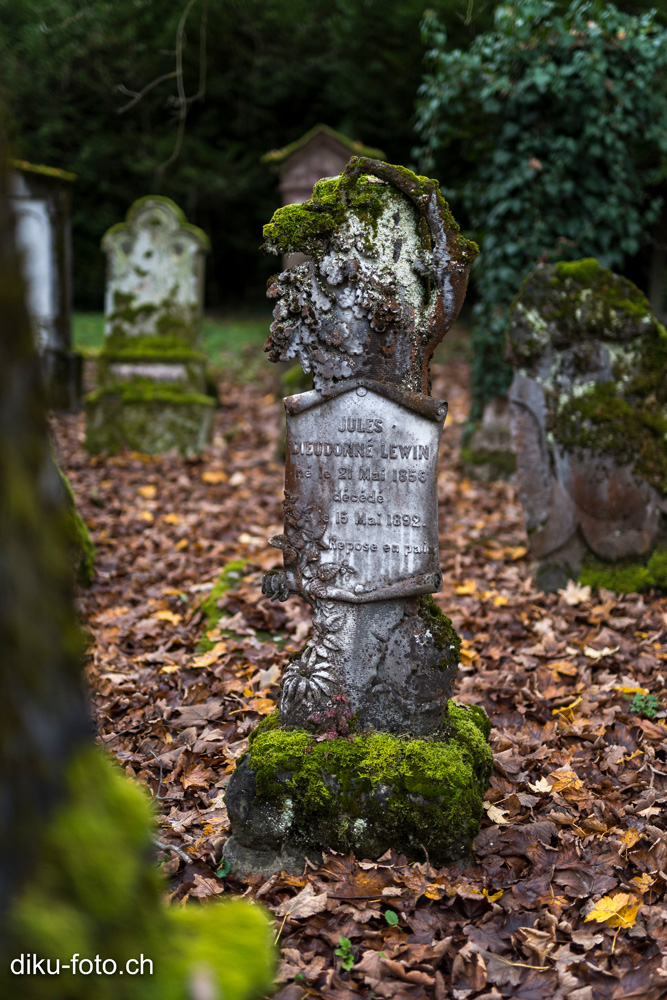 Jüdischer Friedhof Hégenheim