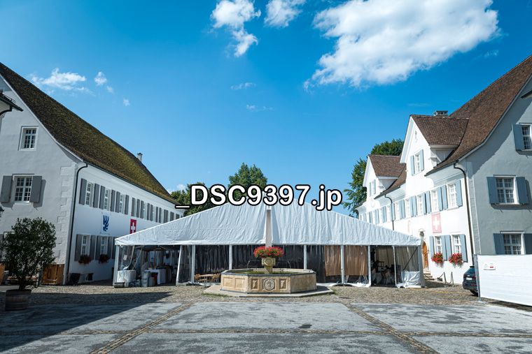 2. Sommernachtsball 2019 Arlesheim