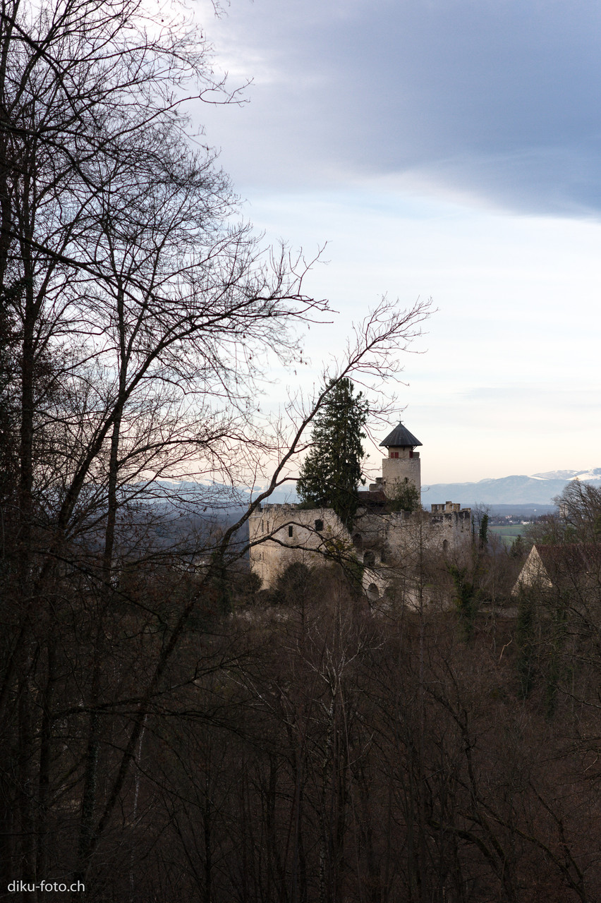 Schloss Birseck