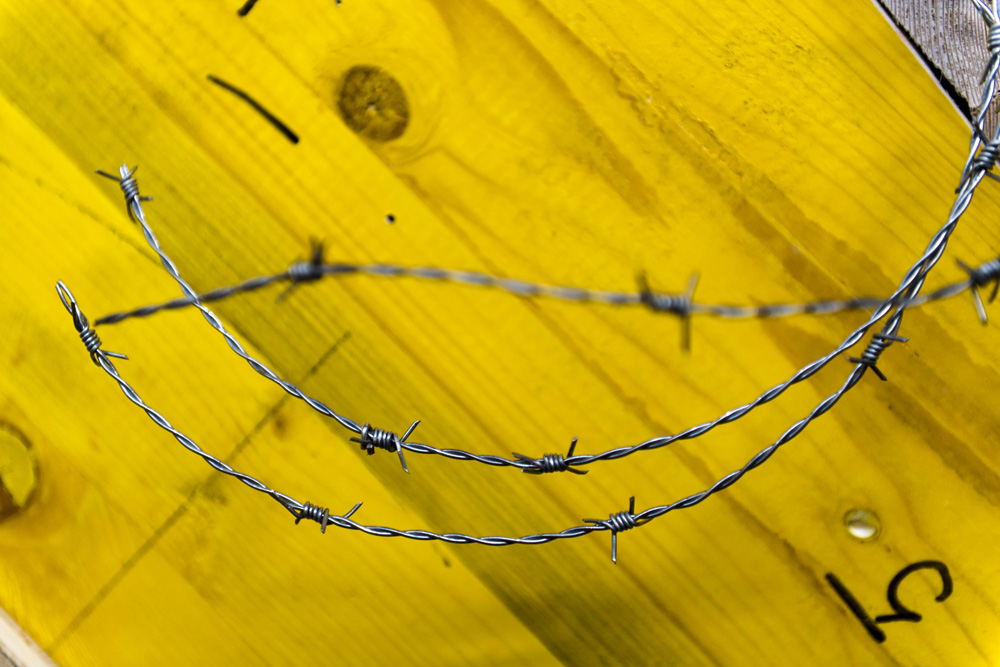 Barbed Circle Detail