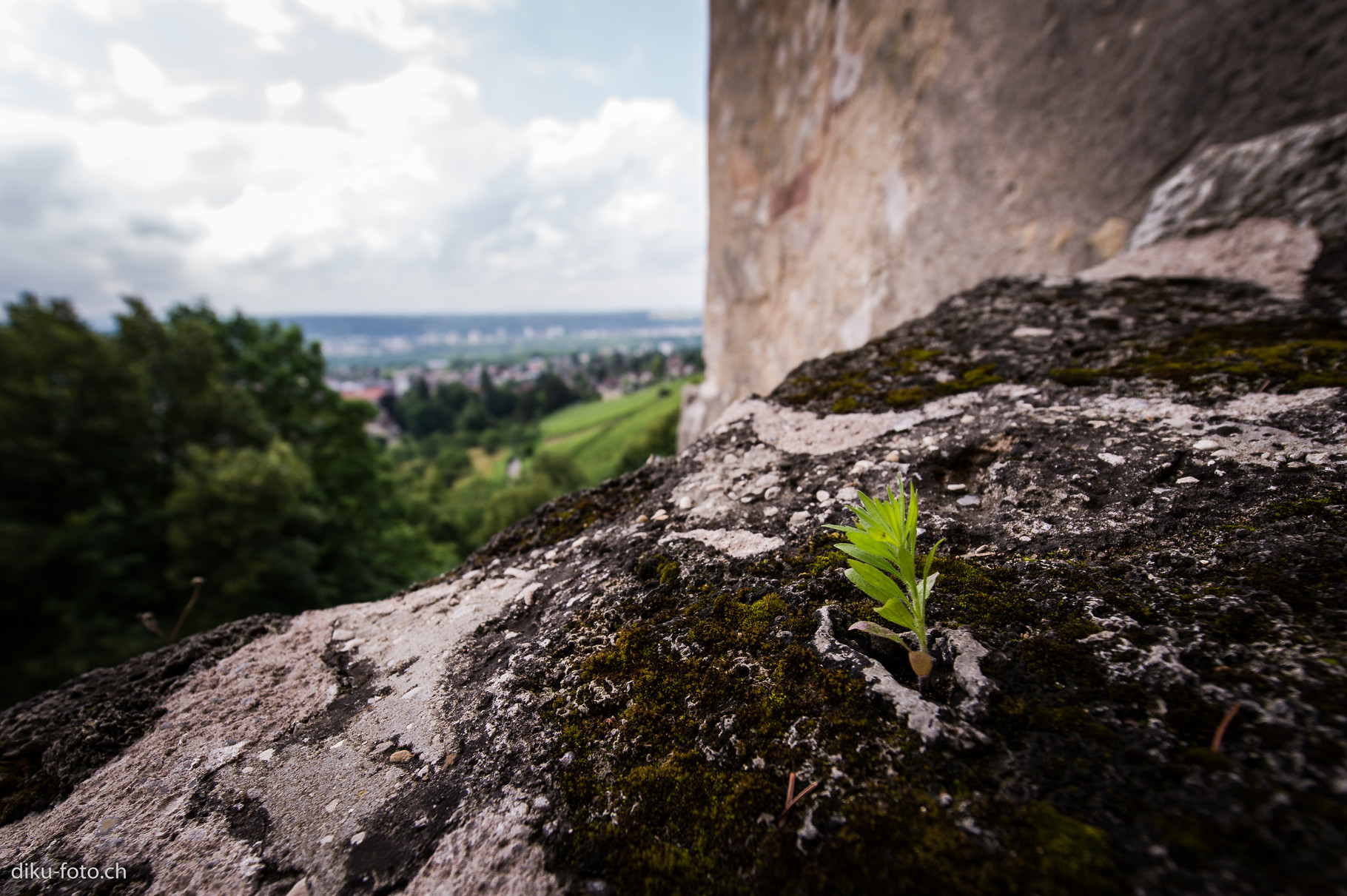 Schloss Birseck