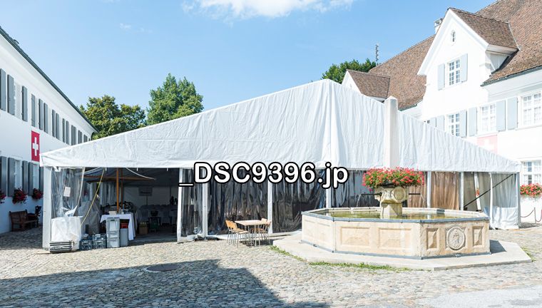 2. Sommernachtsball 2019 Arlesheim