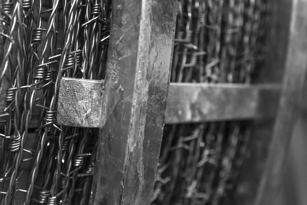 Barbed Circle Detail