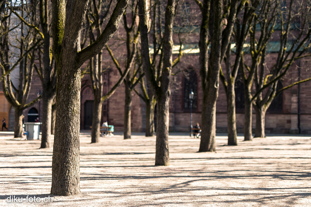 Frühling in Basel