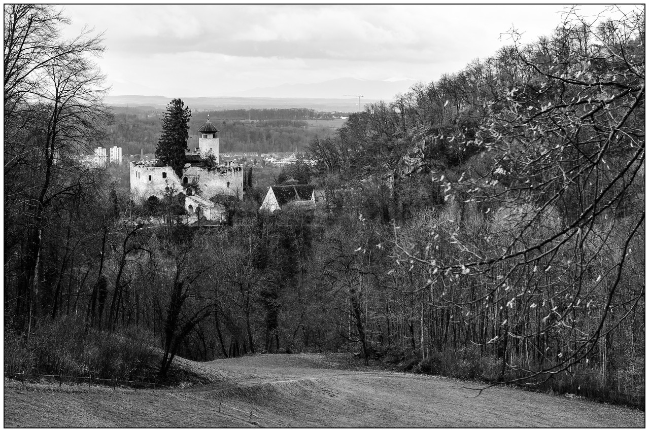 Schloss Birseck