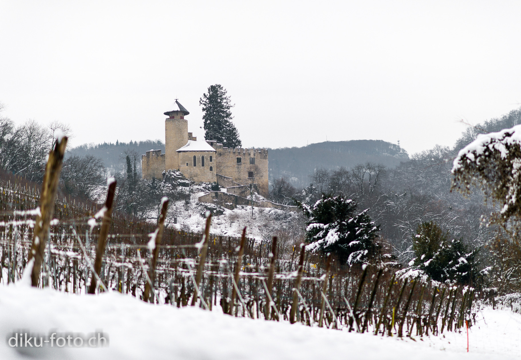 Schloss Birseck