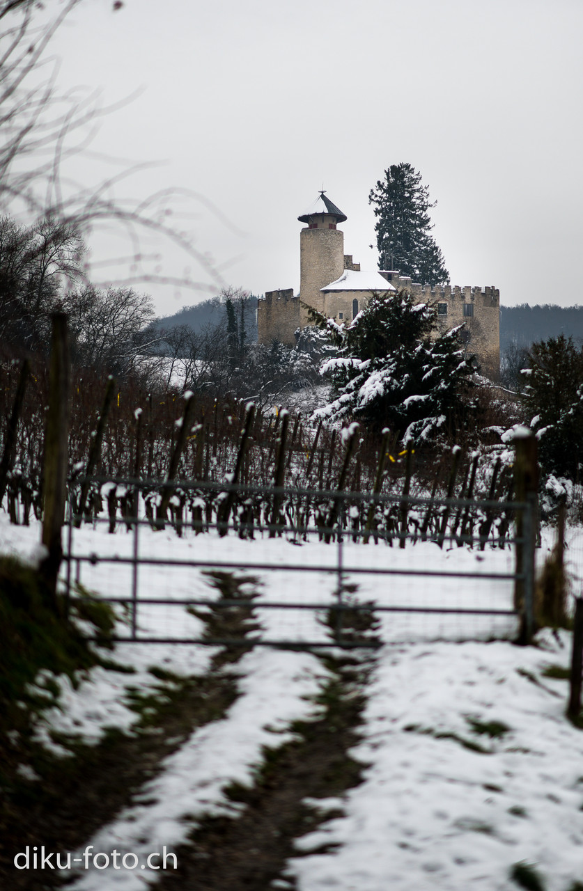 Schloss Birseck