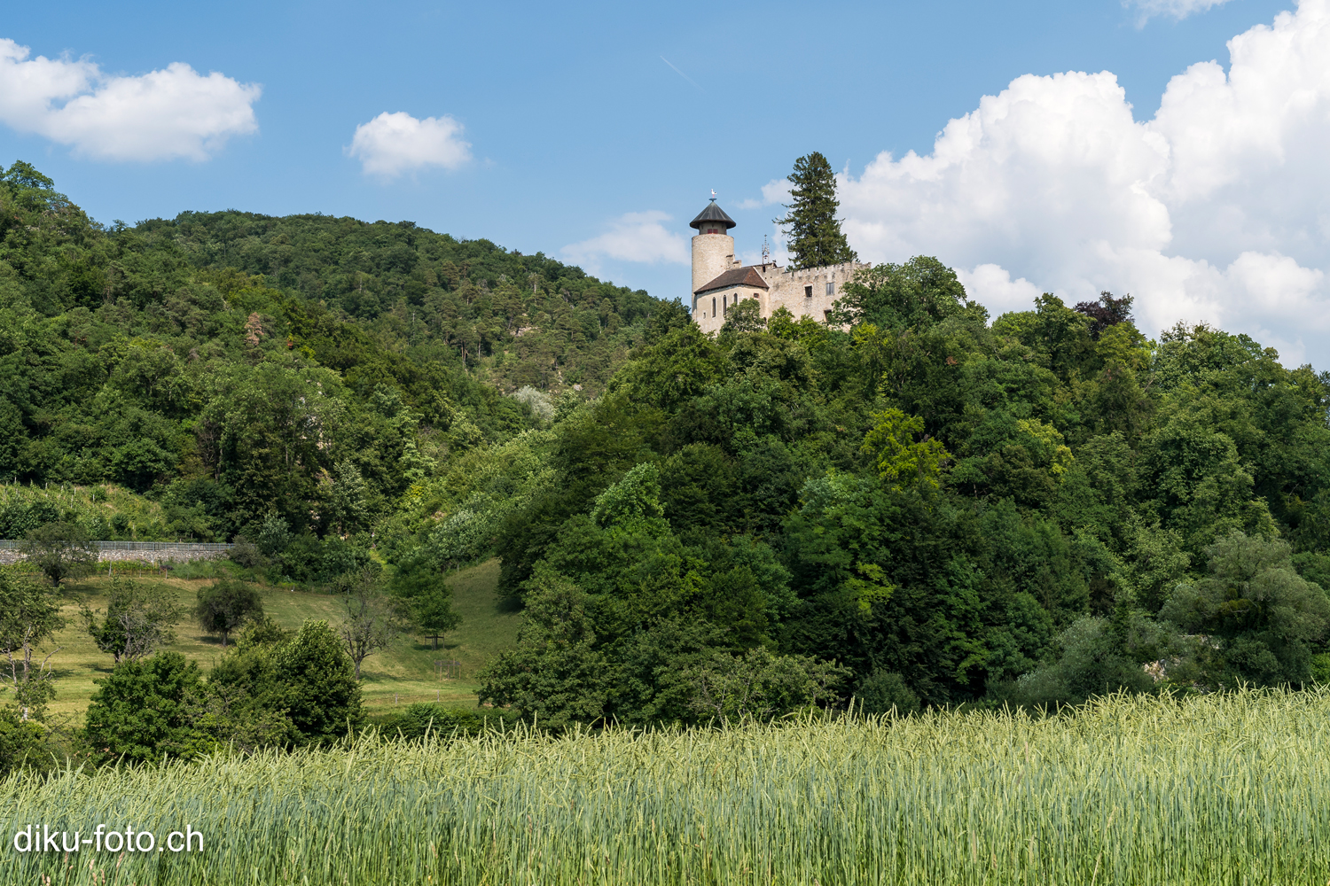 Schloss Birseck