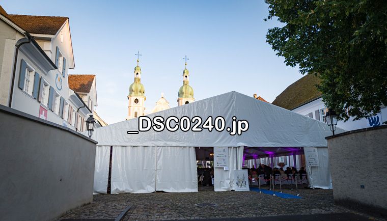 2. Sommernachtsball 2019 Arlesheim