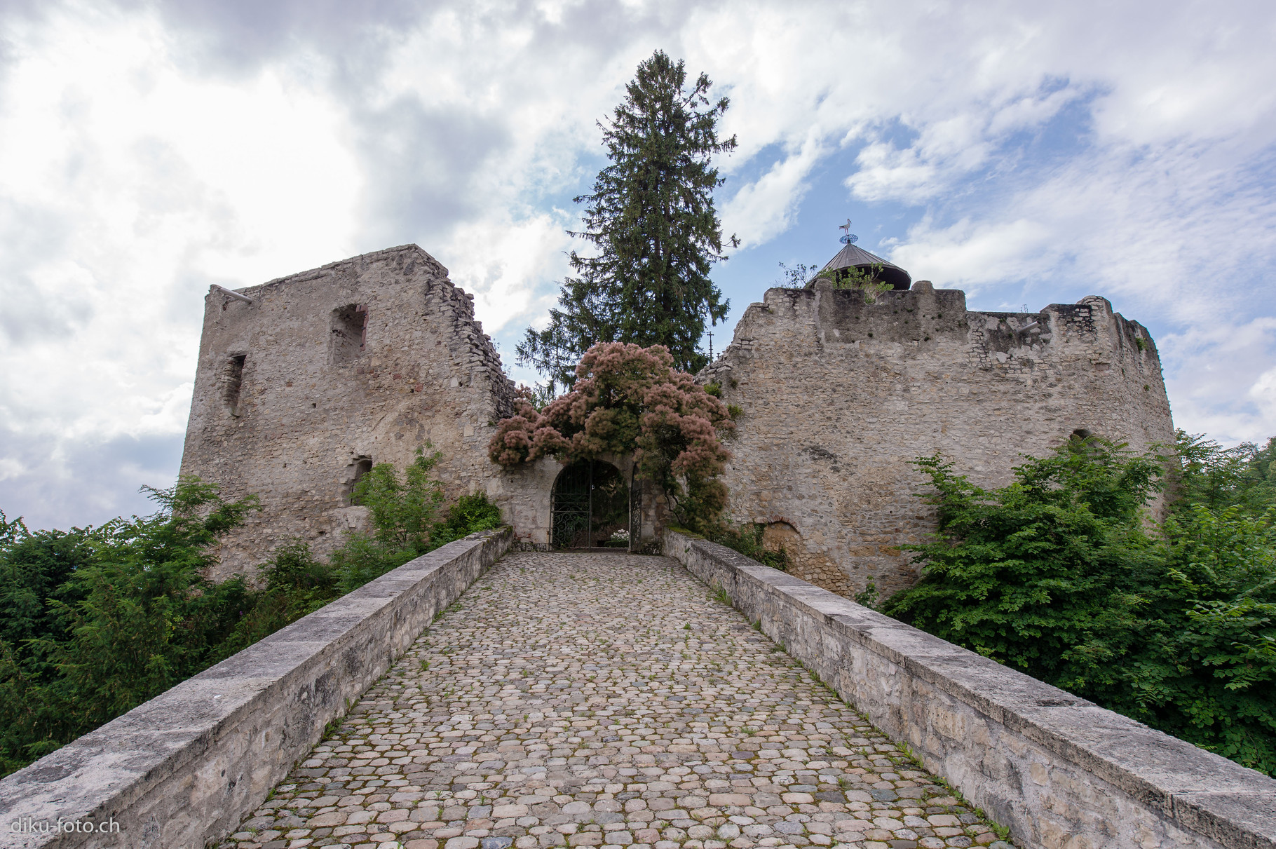 Schloss Birseck