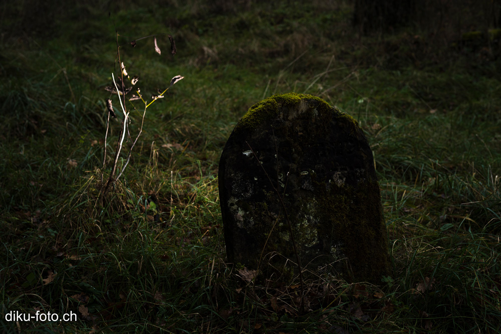 Jüdischer Friedhof Hégenheim