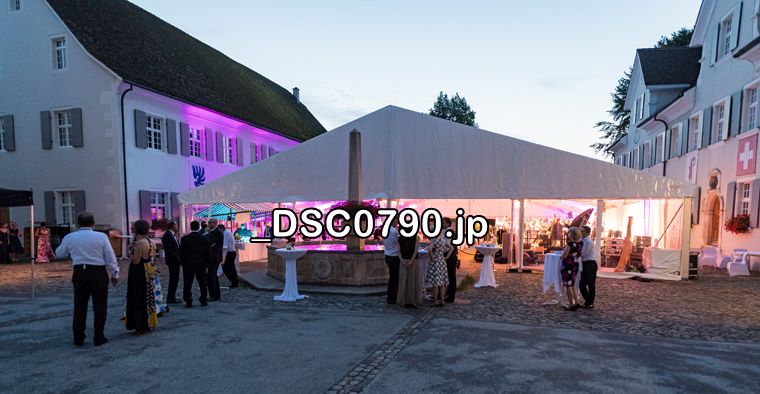 2. Sommernachtsball 2019 Arlesheim