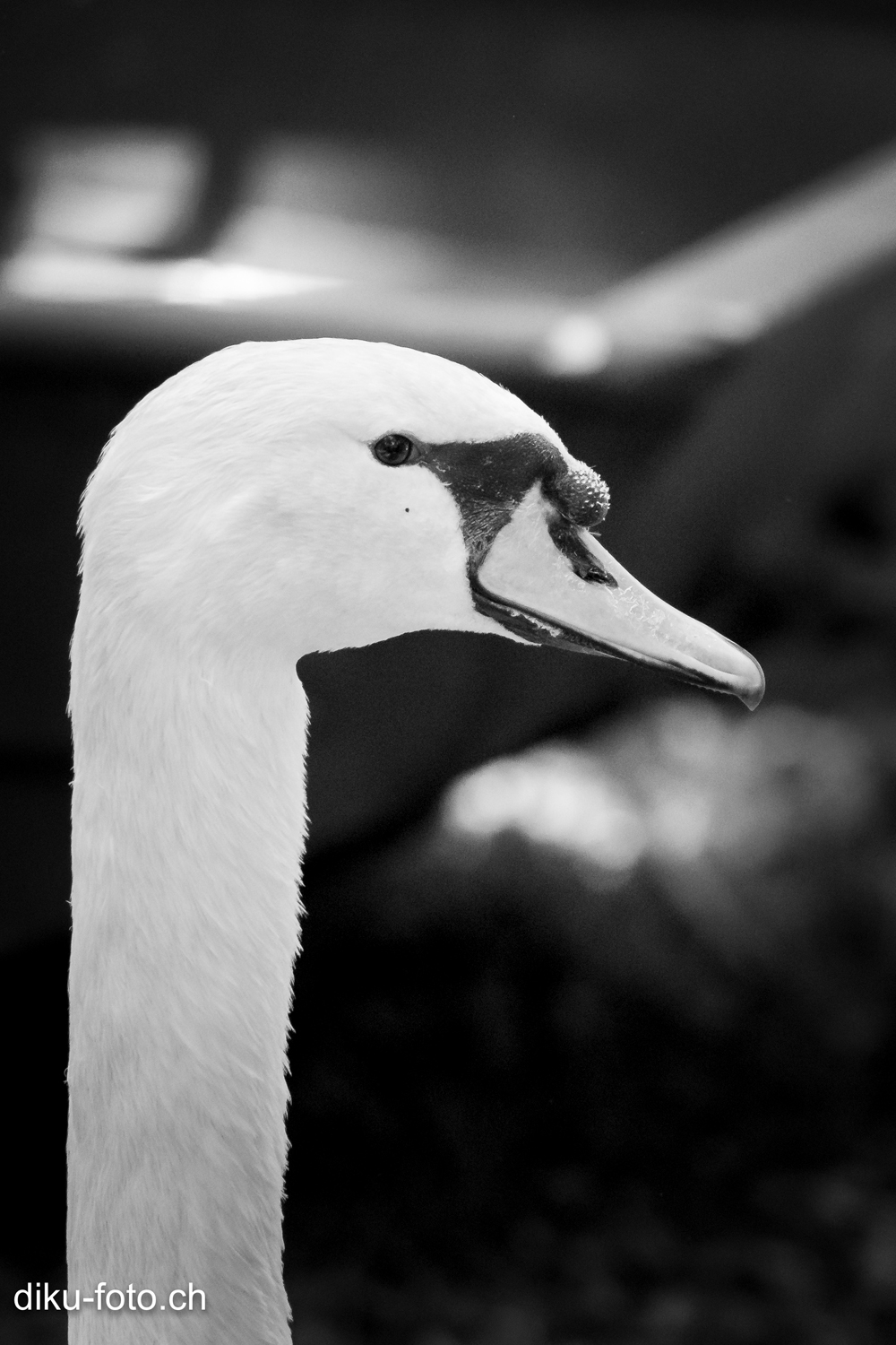 Tierpark Lange Erlen Basel