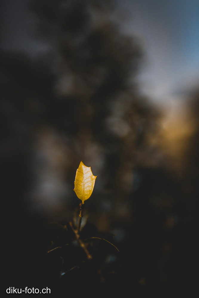 Frühling in Basel