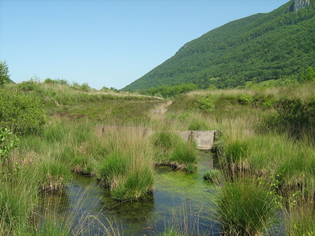 Tourbière de Pédestarrès à Louvie-Juzon