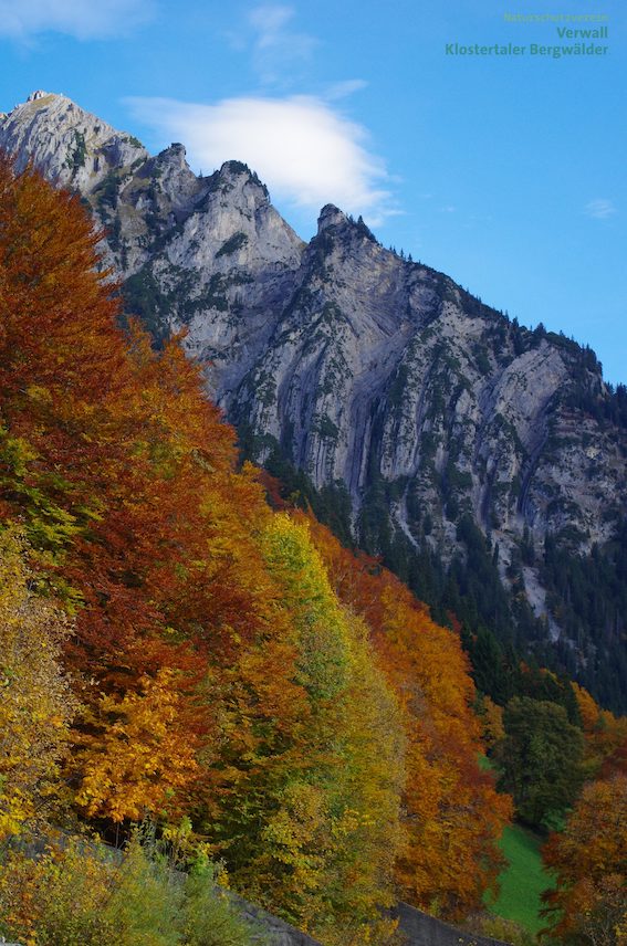 20 Jahre Natura 2000 im Klostertal