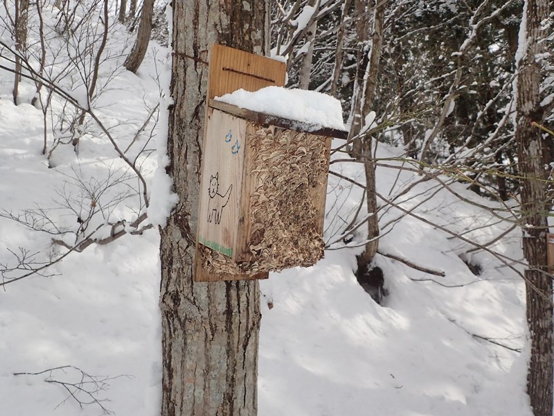 スズメバチの巣 - 大江町山里交流館やまさぁーべ 山形の宿泊型体験施設
