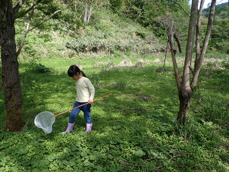 田んぼの生き物調査隊