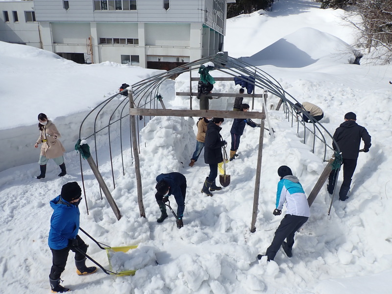 国際スポーツ雪かき選手権＆ビニールハウスで苗づくり