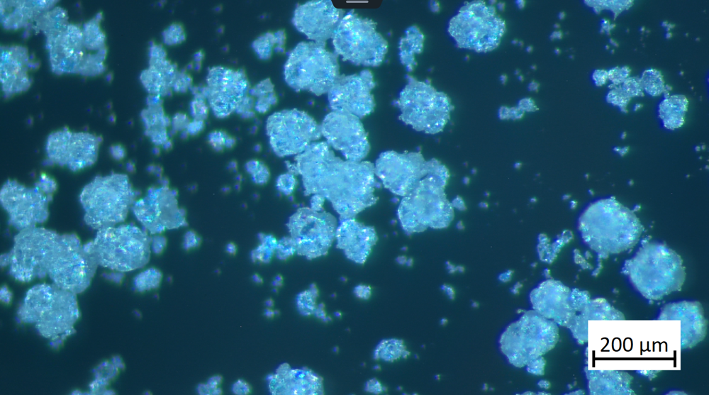 Aluminiumtrihydroxid