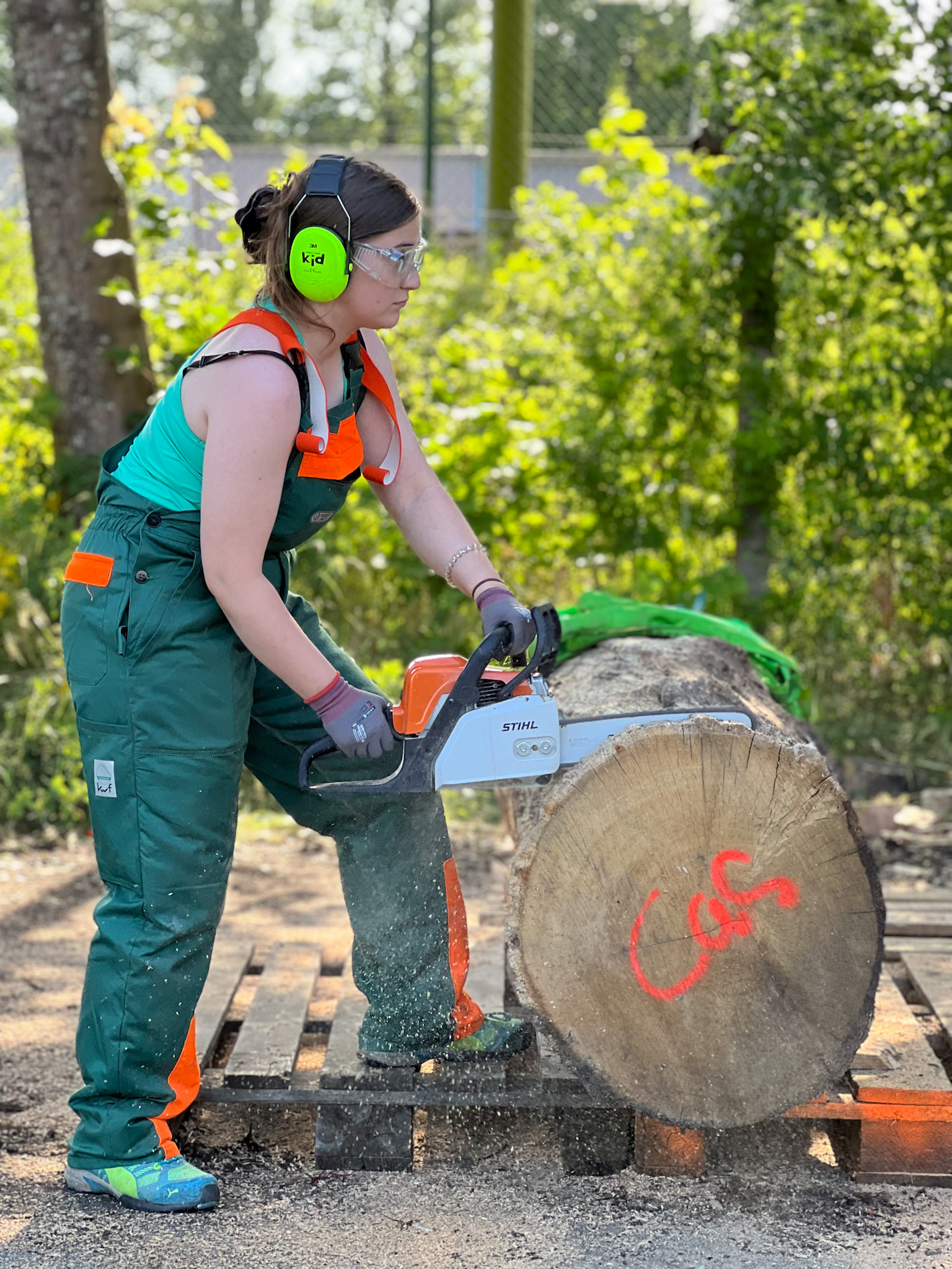 wood for our hood, Flensburg, Galwik Park  (Foto Hans Hansen)