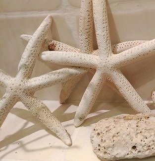 Salle de bain intemporelle en beige et blanc. Détail de la décoration: galets et étoiles de mer fossilisées sur faïence artisanale écrue.
